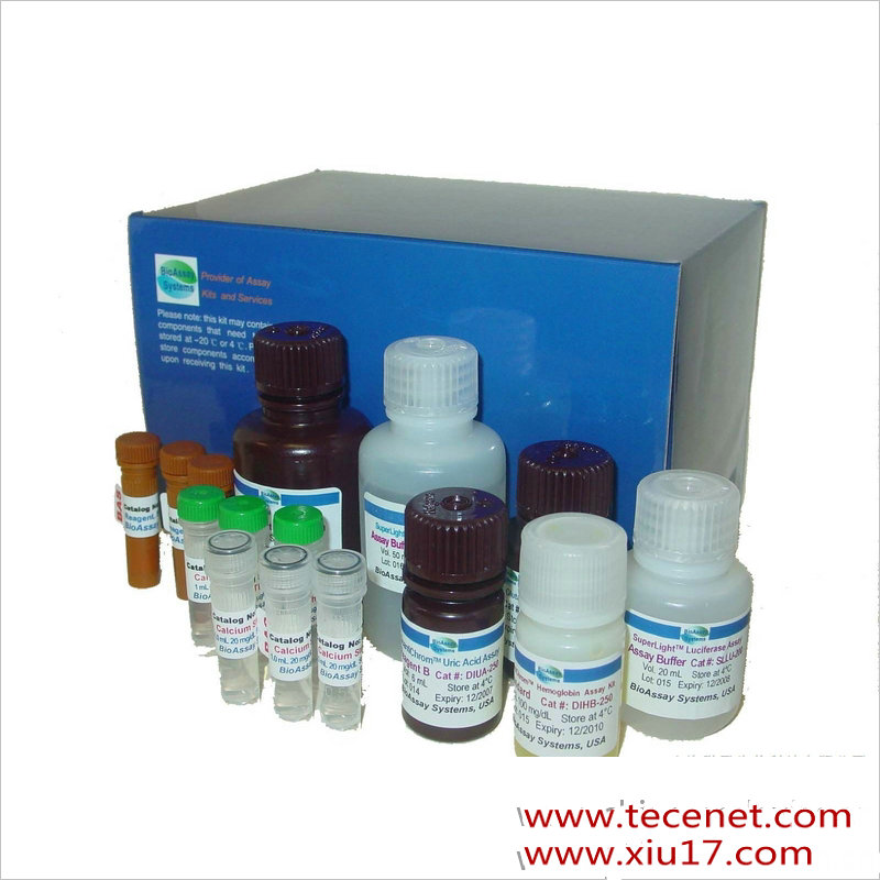 乙型肝炎病毒核心抗体诊断试剂盒（化学发光法）